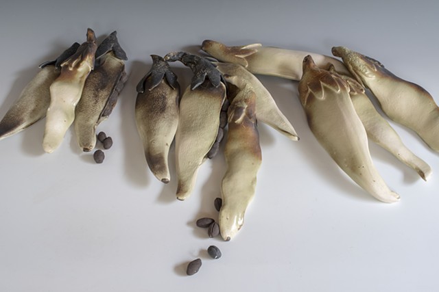 Cluster of Seed Pods