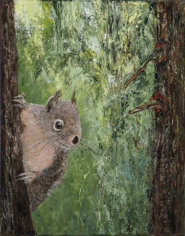 Douglas Squirrel