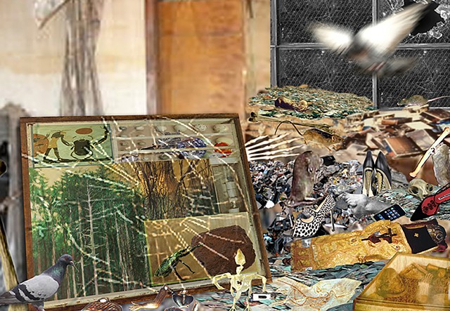 Digital Collage (detritus,beetle)