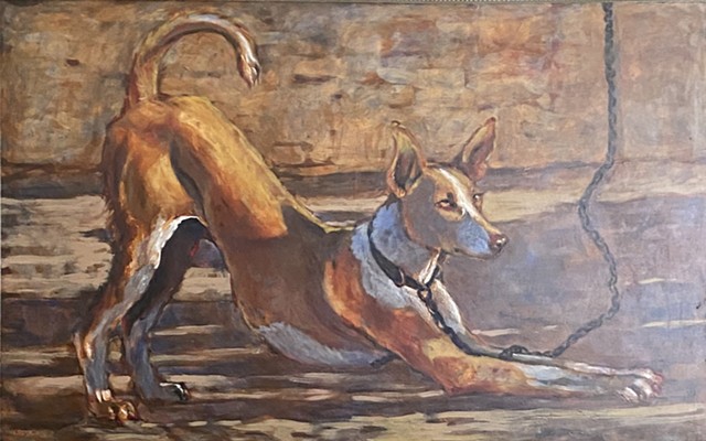 Xoloitzcuintli