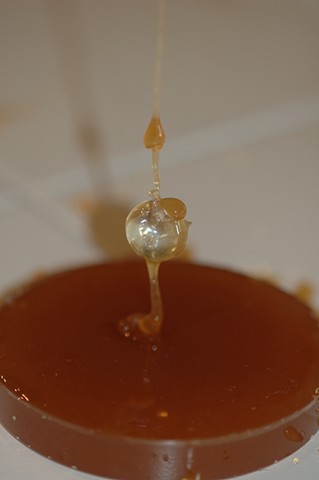 The Honey Must Drip