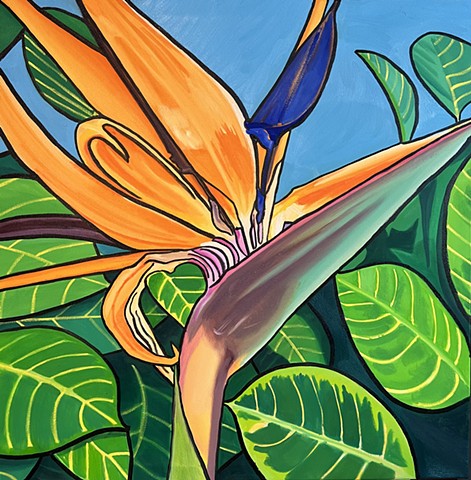 Bloom