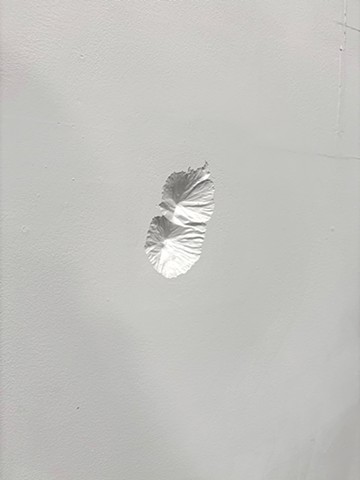 Acatenango y Fuego, Antigua, Guatemala