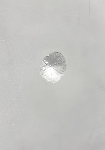 Mount Fuji, Honshu, Japan