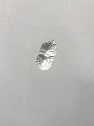 Acatenango y Fuego, Antigua, Guatemala