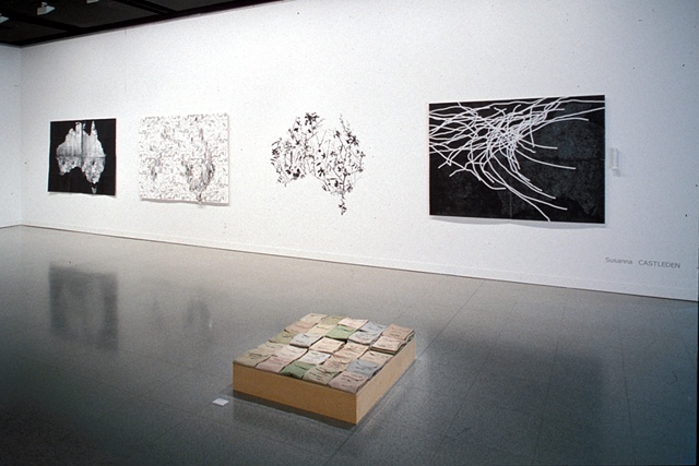 John Curtin Gallery. DoFA 2003