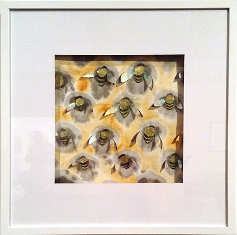 Colony Collapse, bee mixed media water color