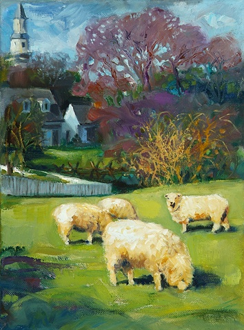 Sheep grazing behind the historic village of Williamsburg, Virginia.