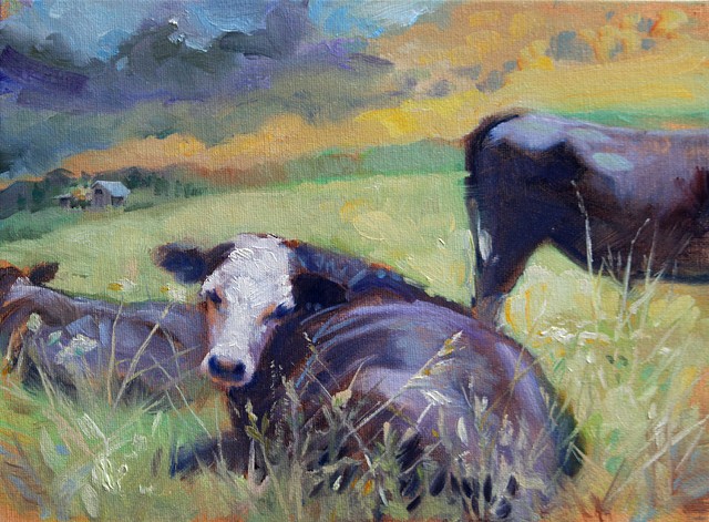Cows laying in a sunny pasture on a hillside.