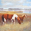 Assateague Island Mare and Foal
