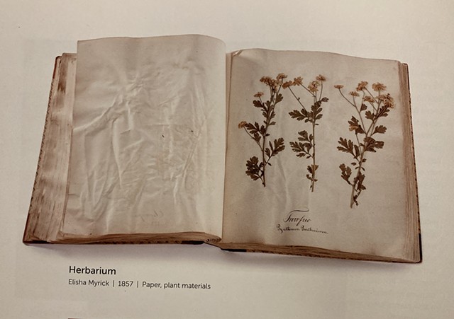 Herbarium of Elisha Myrick