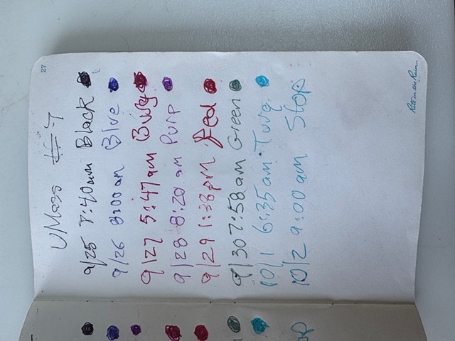 Log for drawing pens, dates, times, colors