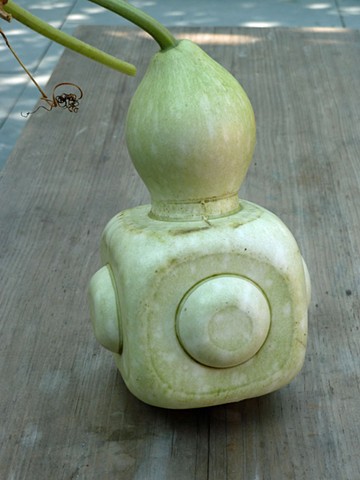 Formed uncured Lagenaria gourd