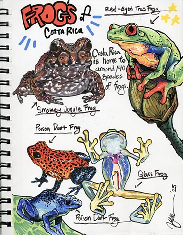 Frogs of Costa Rica