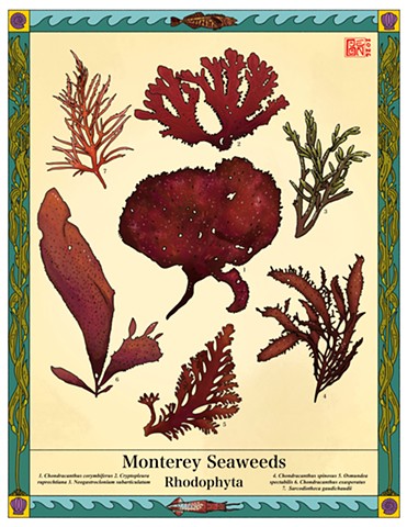 Red Algae Poster
