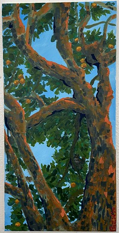Lemon Tree