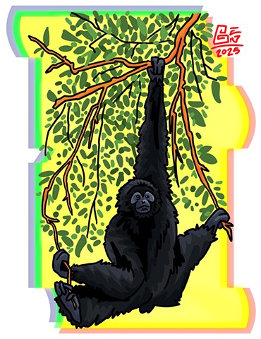 Gibbon Hanging