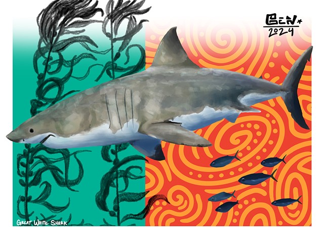 Great Big Shark