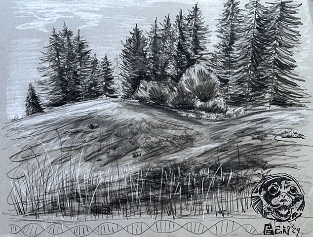 UCSC Campus Sketch