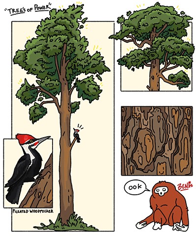 Trees of Power