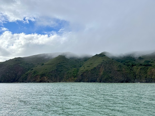 Avila Fog