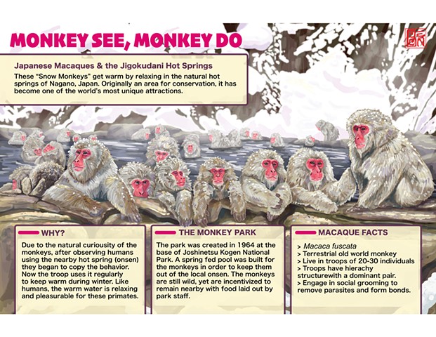 Monkey See, Monkey Do.