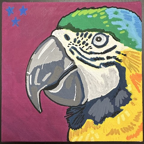 Macaw Portrait