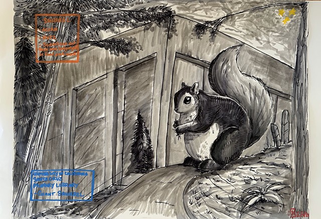 Giant Squirrel on UCSC Campus
