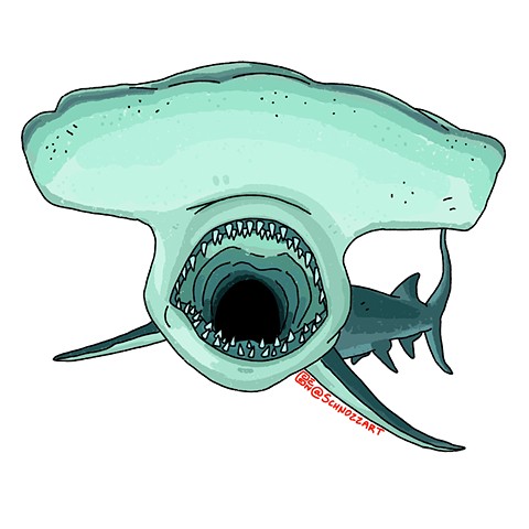 Hammerhead