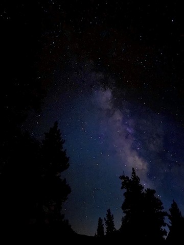 Stars
