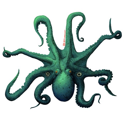 2 spot Octopus