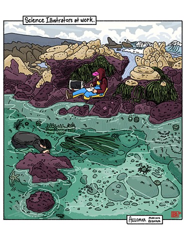 Science Illustrators at Work