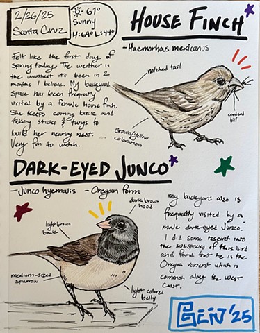 Phenology Journal - Backyard Birds 