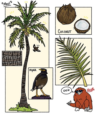 Maui