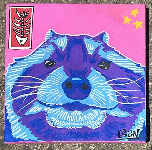 Raccoon Portrait