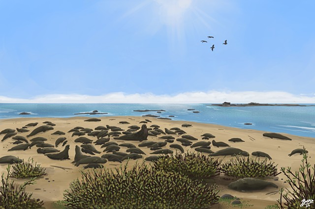 Ano Nuevo Reserve