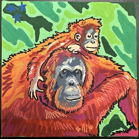 Orangutan Portrait
