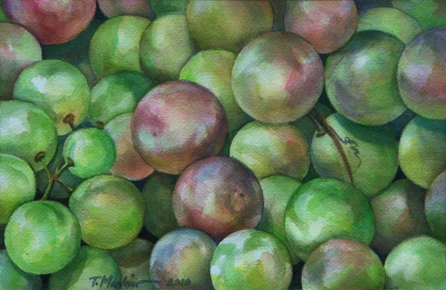 watercolor painting of round green, pink tinged catawba grapes