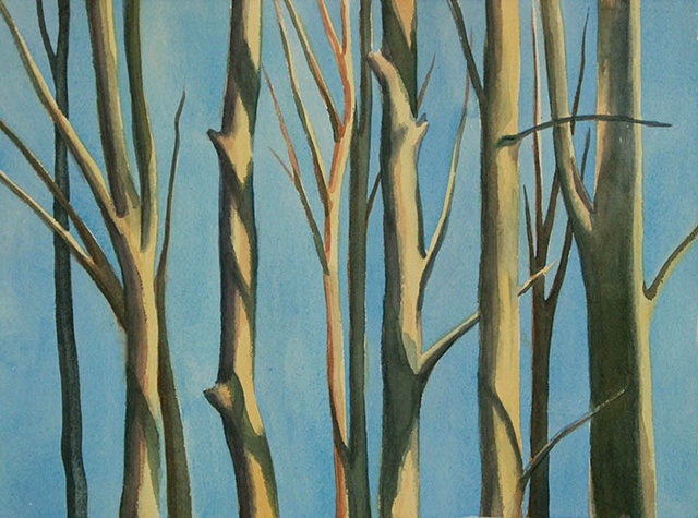 Minimalist watercolor painting of bare trees with stark shadows