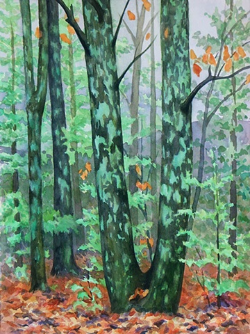 Watercolor painting of autumn trees in the woods surrounded by fallen leaves