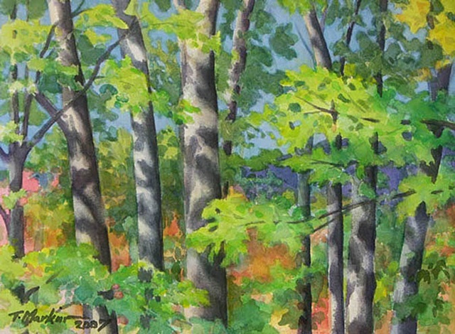 watercolor painting of trees in bright light with dark shadows dappling the trees