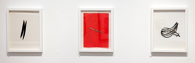 Installation View
Main Art Gallery
Richmond, VA
Gentle Raid Series