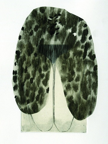 Spotted Veil