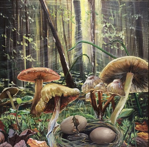The Life of Mushrooms 