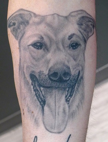 j. majury dog portrait tattoo first string tattoo winnipeg