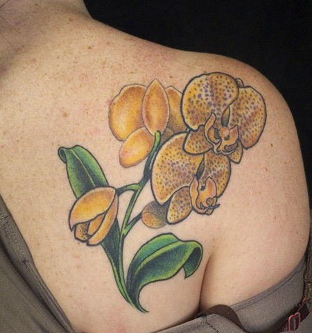 orchids flower tattoo colour j majury