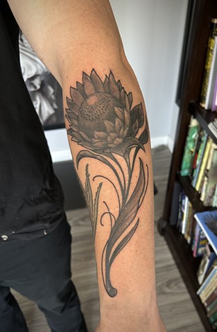 Protea flower for him