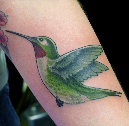 hummingbird colour tattoo by j majury