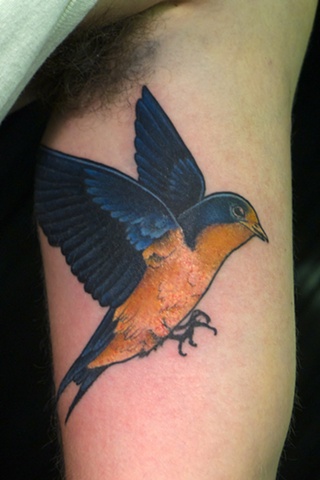 Barn Swallow tattoo by J. Majury