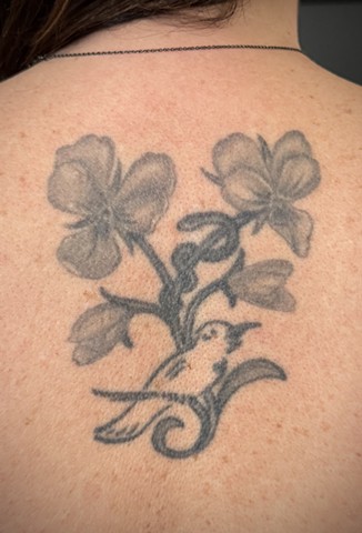 Violets, snake & bird healed 15yrs